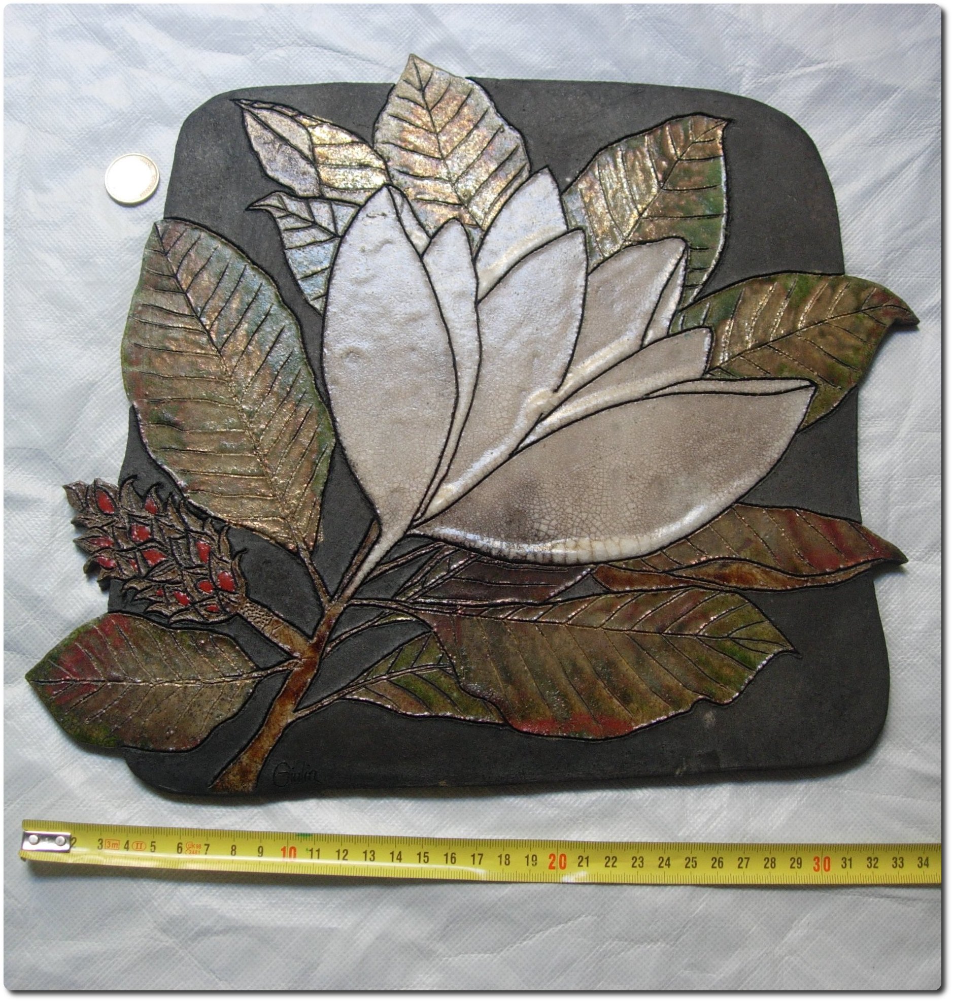 Magnolia, Raky