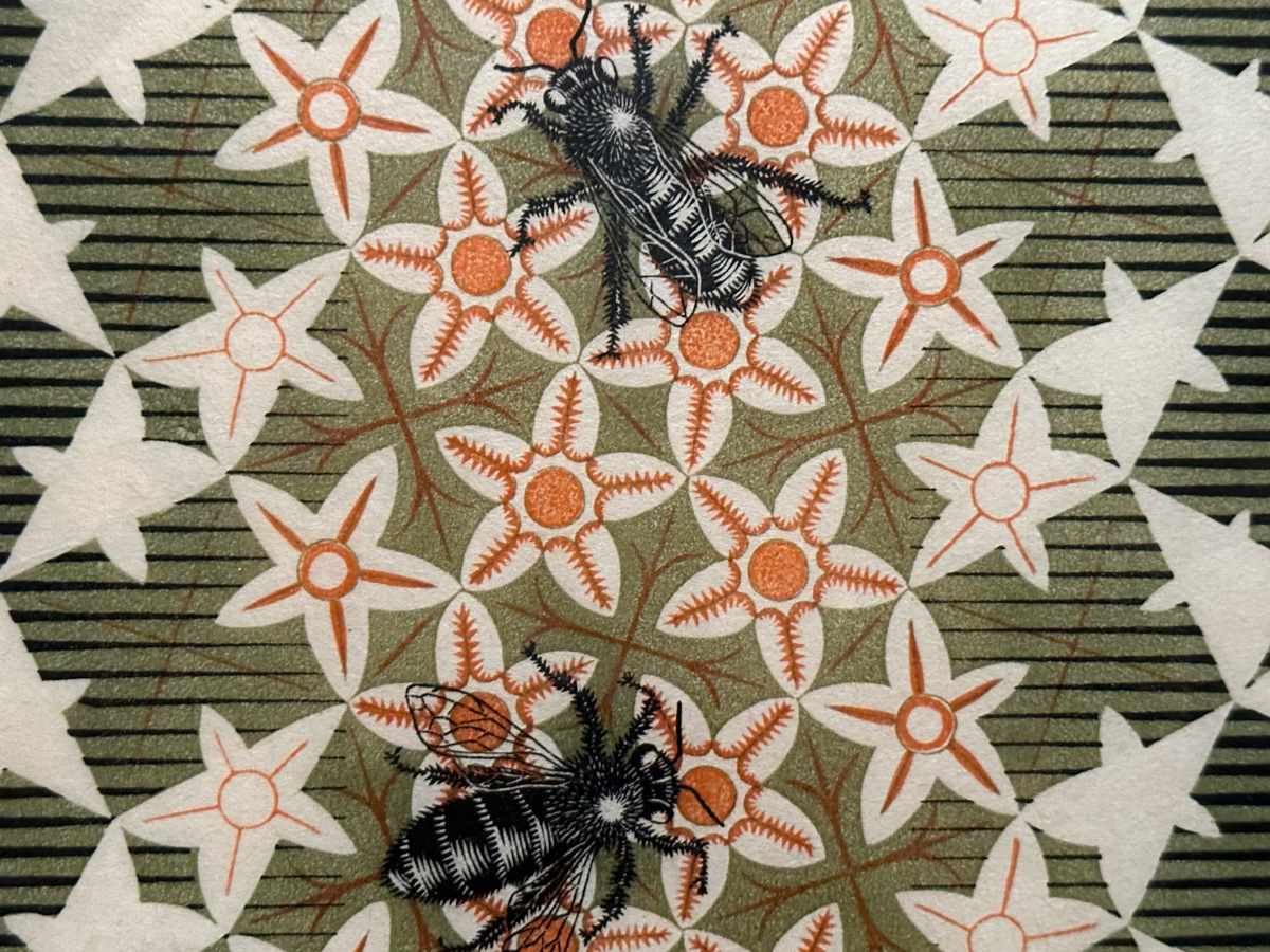 Metamorfosi